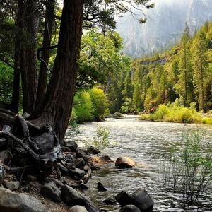 Meet your Posher, Reilly